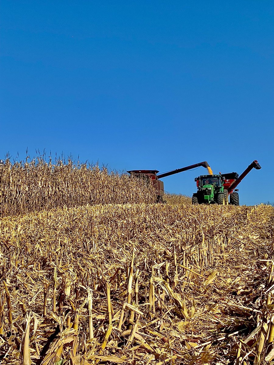 JACrouse91's tweet image. Can’t beat view like this. Especially when this @ChannelSeed 210-46VT2 is keeping the grain cart operator very busy in this field.
