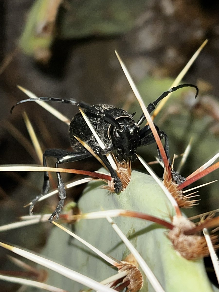 Weidner Lab tweet media