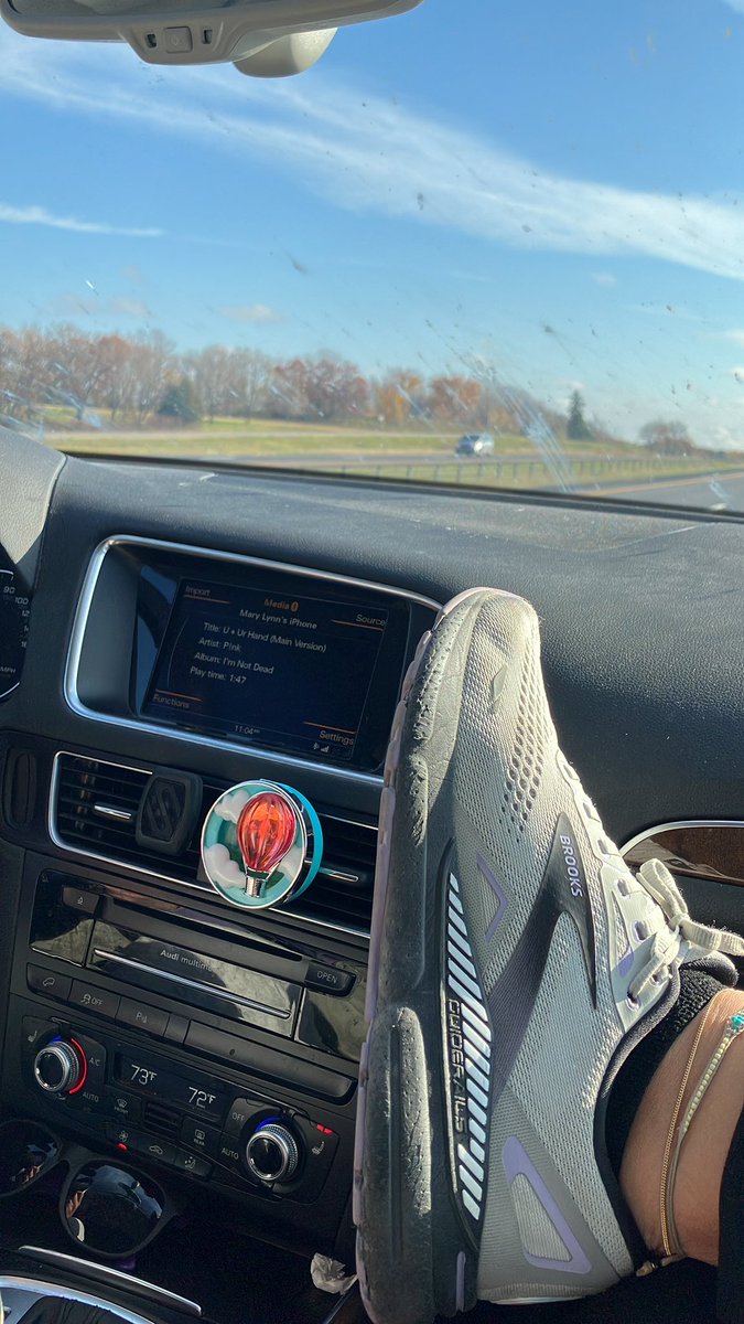 HaleyKriener's tweet photo. Only way to road trip home, @pink on repeat. https://t.co/YKHLiSrE30