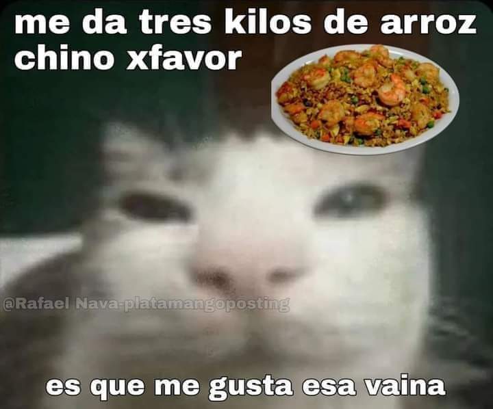 Hjch03's tweet photo. xfavor https://t.co/lag2tJJXpW