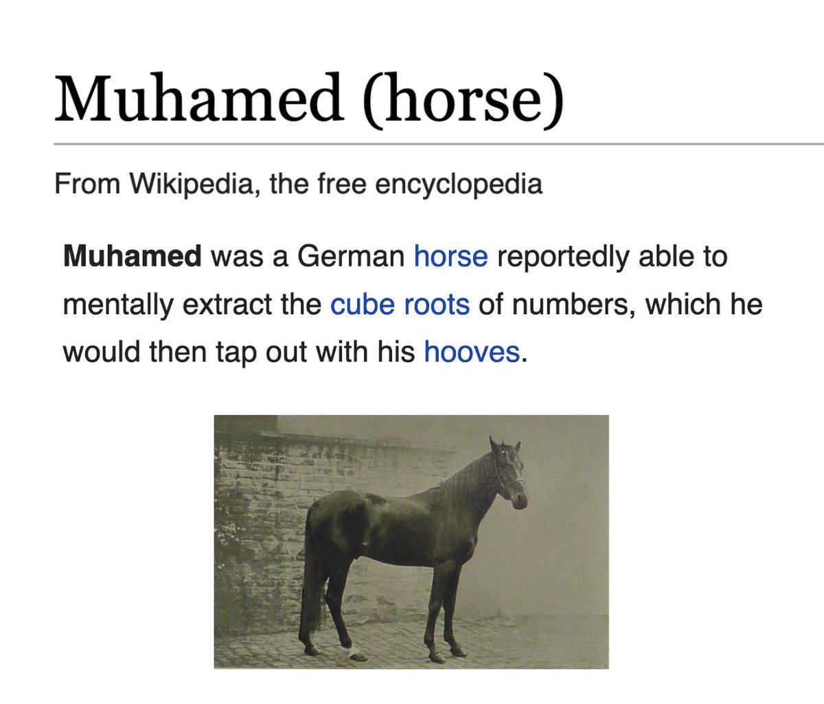 depths of wikipedia! tweet media