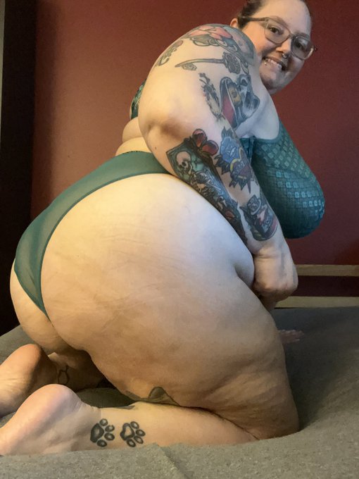Just looking for a nice face to sit on&hellip; https://t.co/K3Fve8jXaf<a href="/tag/mvsales"class="tags"><span>#mvsales</span></a>