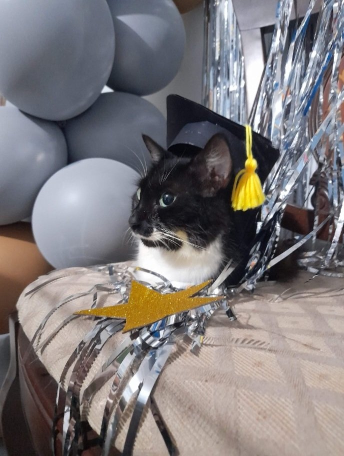 AdoptaCol's tweet photo. 🎃❤
#Halloween https://t.co/OfAjcU7jdf