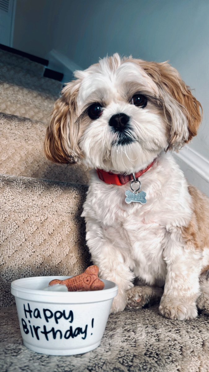 M s . R o m a n o tweet media