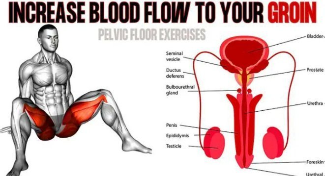 WealthMail's tweet image. Increase Blood Flow To Groin Area