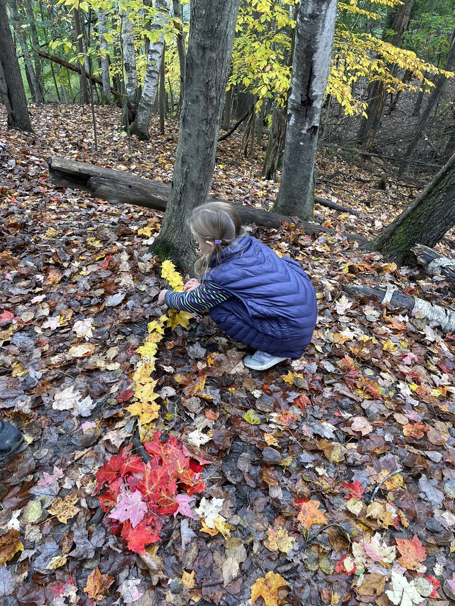 SusanKochVT's tweet image. Learning in the best classroom of all! 
#firstgrademagic #mrpsvt #ECO @ZeilengaJillian @mrpsvt @BareaKatie