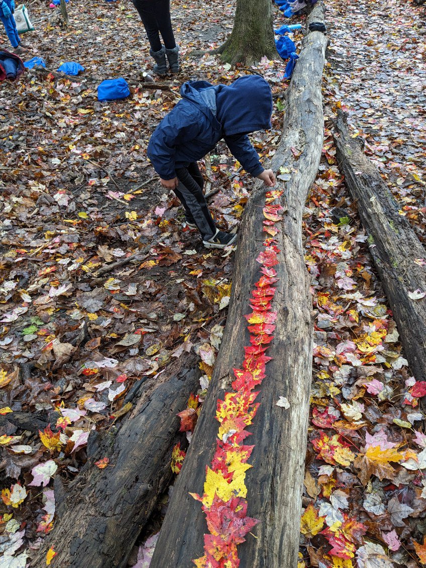 SusanKochVT's tweet image. Learning in the best classroom of all! 
#firstgrademagic #mrpsvt #ECO @ZeilengaJillian @mrpsvt @BareaKatie