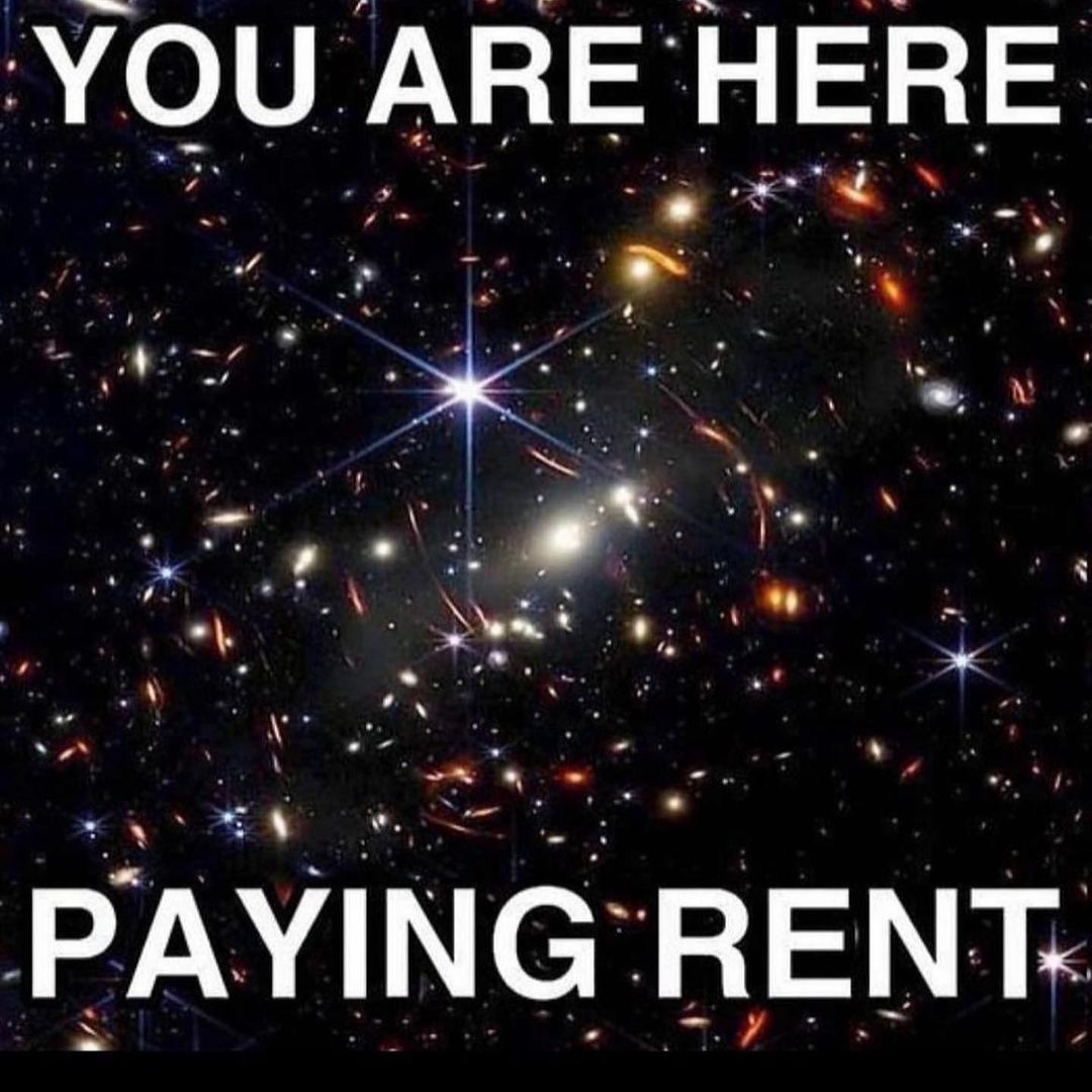 hourly_shitpost tweet picture