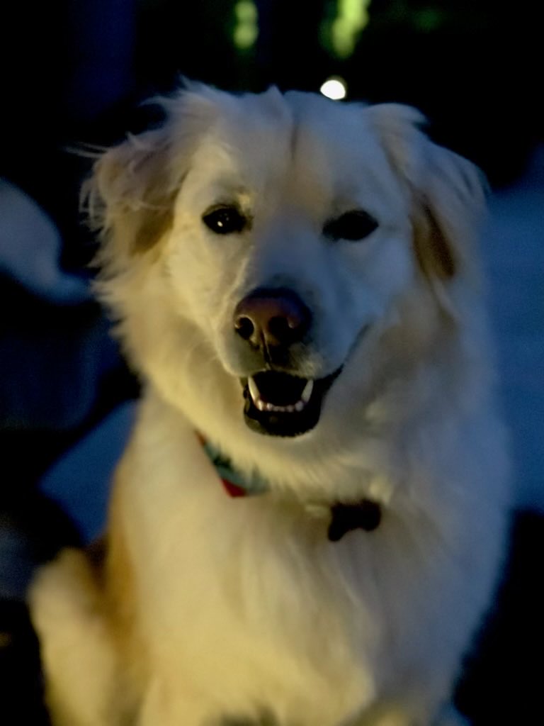 This picture showed up in Mom’s FB memories. It’s one of my best smiles!