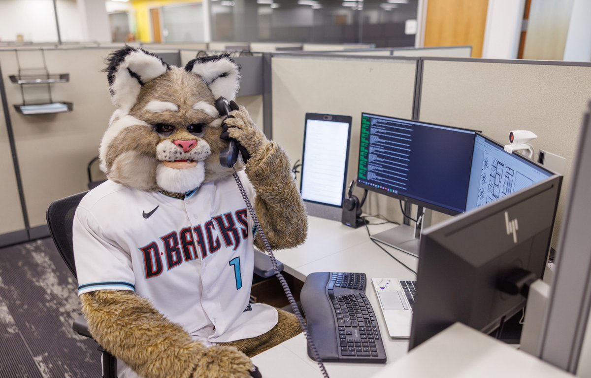 Avnet's tweet photo. The D-backs just called, we're going to the World Series! ⚾ 
 
Congratulations to the @Dbacks on making it to the World Series! We are proud to be your hometown patch partner. #Dbacks #EmbraceTheChaos https://t.co/TLmzmw3H4V