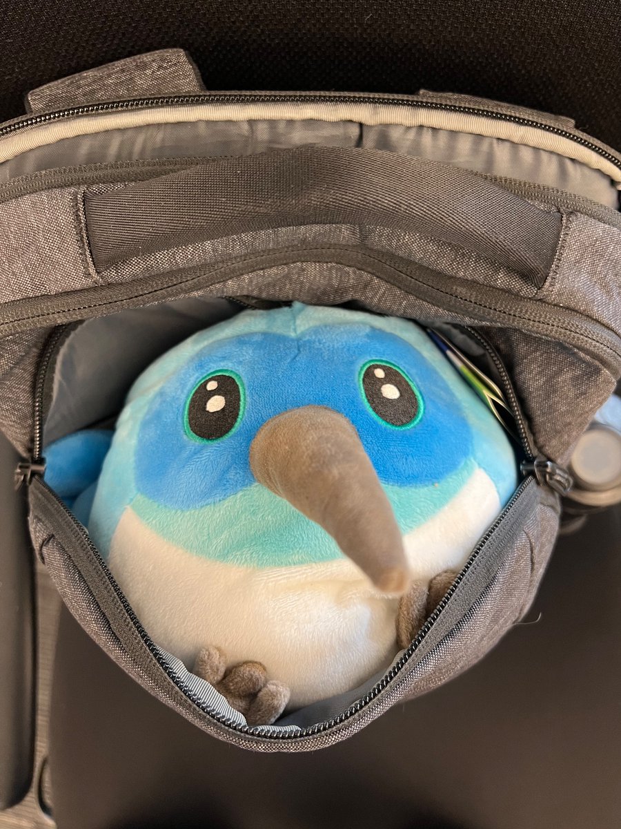jryanio's tweet image. Dash and I are stuck in Miami, but we’ll be there for day 2! #FlutterConfLatam
