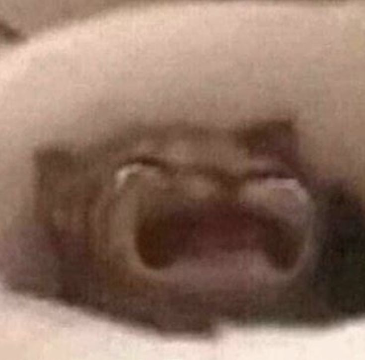 Help what did I do😃

(proceeds to disappear, it's my first "cosplay") someone give me an apple I can't 😭