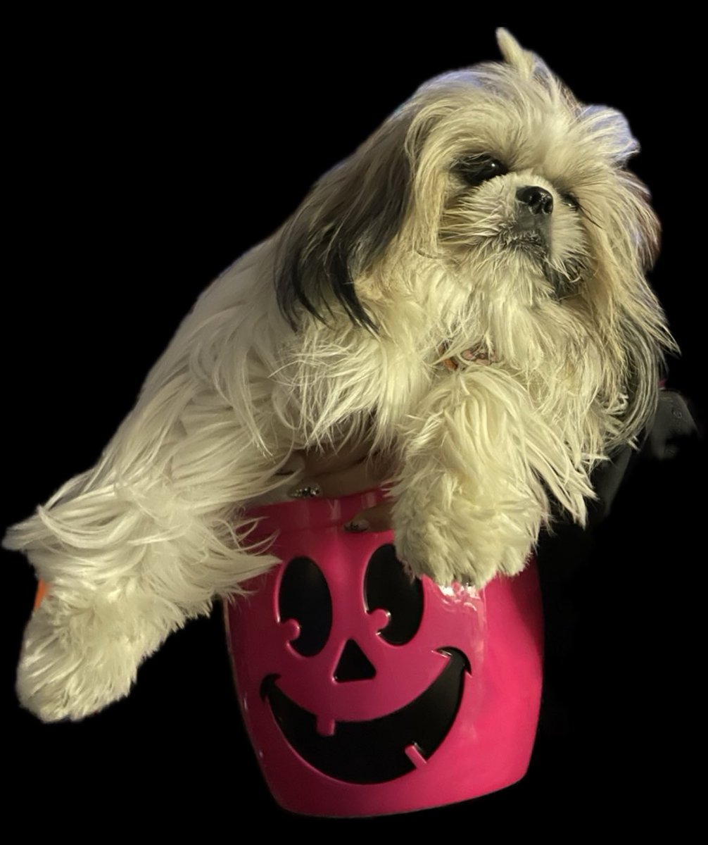 My trick or treat is full to my
Hearts content #TmobileTuesday