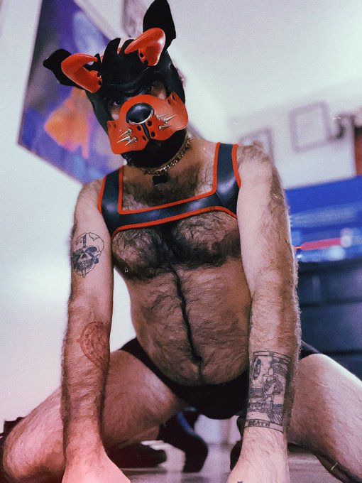 not all dogs go to heaven 😈🐶 https://t.co/Jpyp0WJ0LY<a href="/tag/spiderman2"class="tags"><span>#spiderman2</span></a>