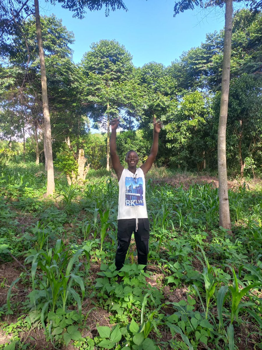 #Agroforestry 
saves #soilfertility
cleans #air
Provides  #Food #Fuel
Reduces #CO2emissions
 #Conservesnature #ClimateJustice #ActNow to protect our planet 🌎. Support  #agroecology @GovUganda @youthgogreen @theGCF @adaptationfund @GlobalFund @wphfund @IFAD @theGEF @min_waterUg