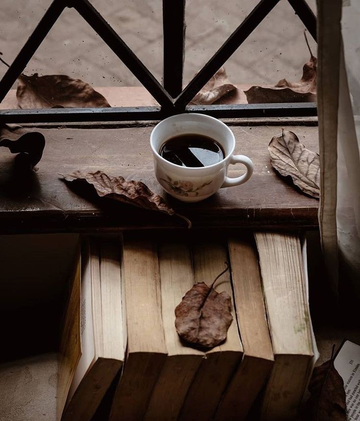 그릇이
더러우면

어떤 음식을
담아도 더러워집니다

마음이
정갈하지 못 하면

무엇을 담든
빛아나지 않습니다 

그릇을 닦듯
마음을 닦으세요.🖌

-털어봐 아프지않은 사람있나-