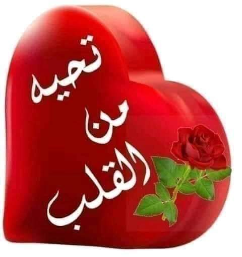 ماجد ✝️مسيحى وافتخر✝️ (@mjd55751757) on Twitter photo 