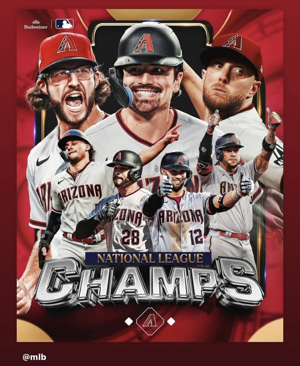 From the #6 Wild Card to NL Champions. Time to bring home a #WorldSeries to PHX! Go <a href="/Dbacks/">Arizona Diamondbacks</a>! ⚾⚾⚾⚾ #TheChaosContinues