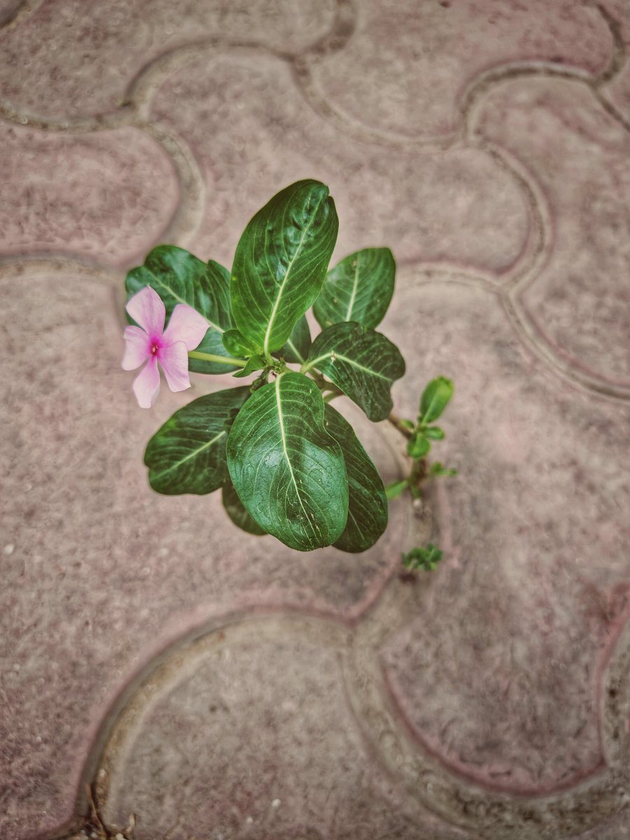Arti Dogra tweet media