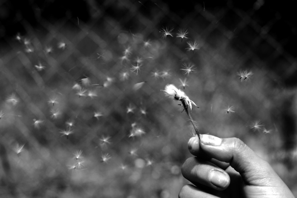 David B. Clear (cartoonist/writer) 💩 tweet media