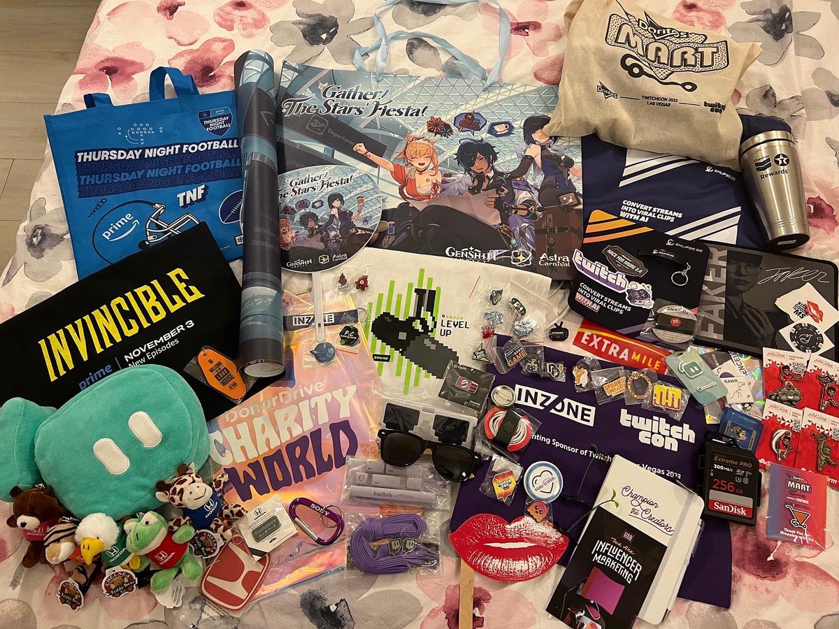 nutellallday's tweet photo. @DonorDrive @nationalmssoc @MottChildren @playersvscancer @ExtraLife4Kids @BeTheMatch @StrikeoutCancer @HopeForTheDay Lastly, the free stuff! 😂 T-shirts, bags, pins, stickers, sunglasses, keychains and many other things. @streamlabs  #kevintravels Kevin Jr. is now in San Diego! https://t.co/xgHBJvVc51