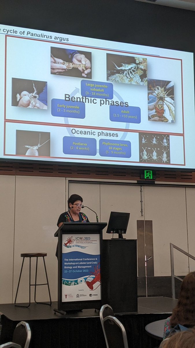 EmmajadeTuffley's tweet photo. A very interesting keynote presentation this morning at the @ICWL2023 from Dr Patricia Briones-Fourzan on the fishery benefits of casitas in the Carribbean 🏠🦞
#icwl2023 https://t.co/LQ5i72qPMB