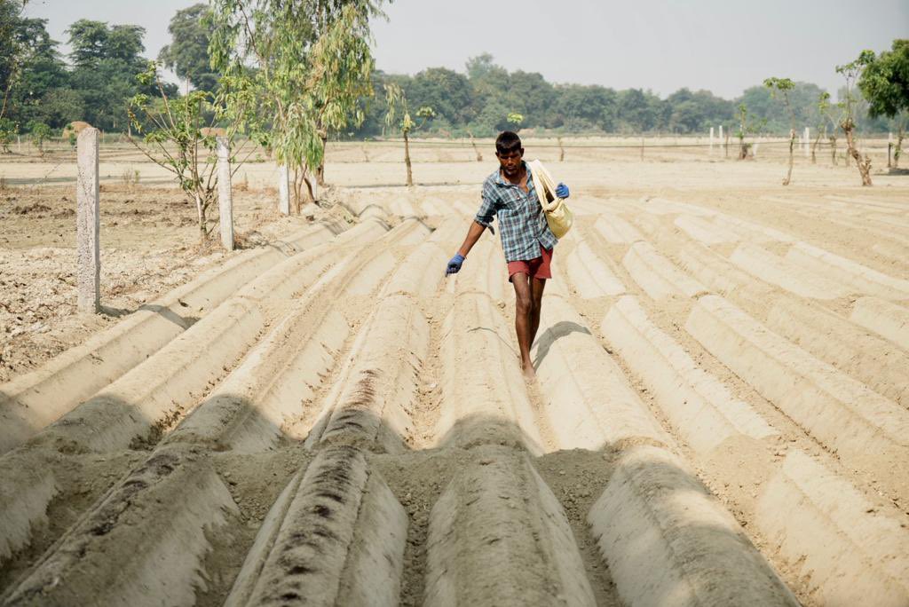 immanojsemwal (@immanojsemwal) on Twitter photo Study 2 improve potato yield prediction using UAV remote sensing by incorporating cultivar information with machine learning methods being undertaken under RSSA project. Experiments to be conducted in 20 farmers field this season <a href="/CSIRCIMAP/">CSIR-CIMAP</a> <a href="/CSIR_IND/">CSIR, India</a> <a href="/PrabodhTrivedi/">Prabodh Trivedi</a> Study 2 improve potato yield prediction using UAV remote sensing by incorporating cultivar information with machine learning methods being undertaken under RSSA project. Experiments to be conducted in 20 farmers field this season <a href="/CSIRCIMAP/">CSIR-CIMAP</a> <a href="/CSIR_IND/">CSIR, India</a> <a href="/PrabodhTrivedi/">Prabodh Trivedi</a>