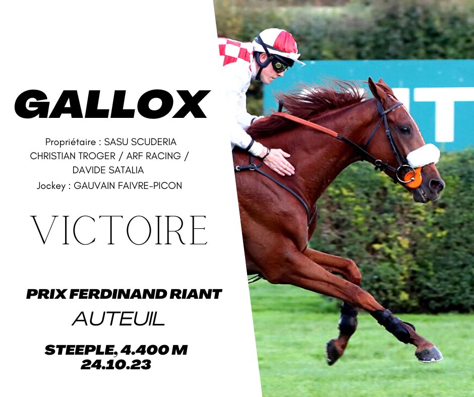 ecurie_satalia's tweet photo. GALLOX #Samum triomphe ce mardi 24 octobre en steeple chase à #Auteuil 🔴⚪️
Victorieux d’un bon lot, il laisse une très belle impression 💥
Son jockey @GauvainFaivre ajoute à son palmarès une seconde victoire à Auteuil 🏆 https://t.co/Gnnr68OiQg