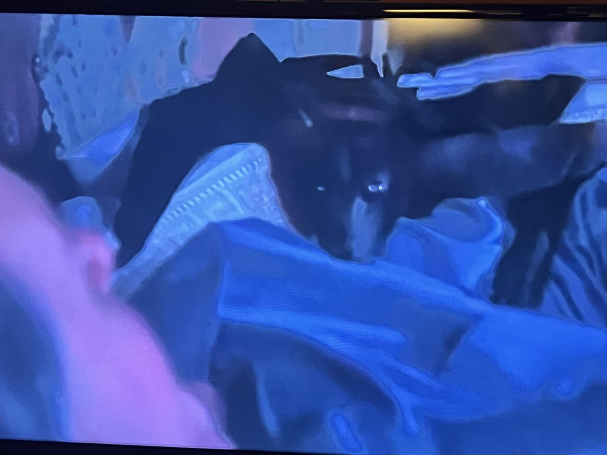 Condimentgrrl's tweet image. Oh they’re cute #TCMParty #TheAbominableDrPhibes