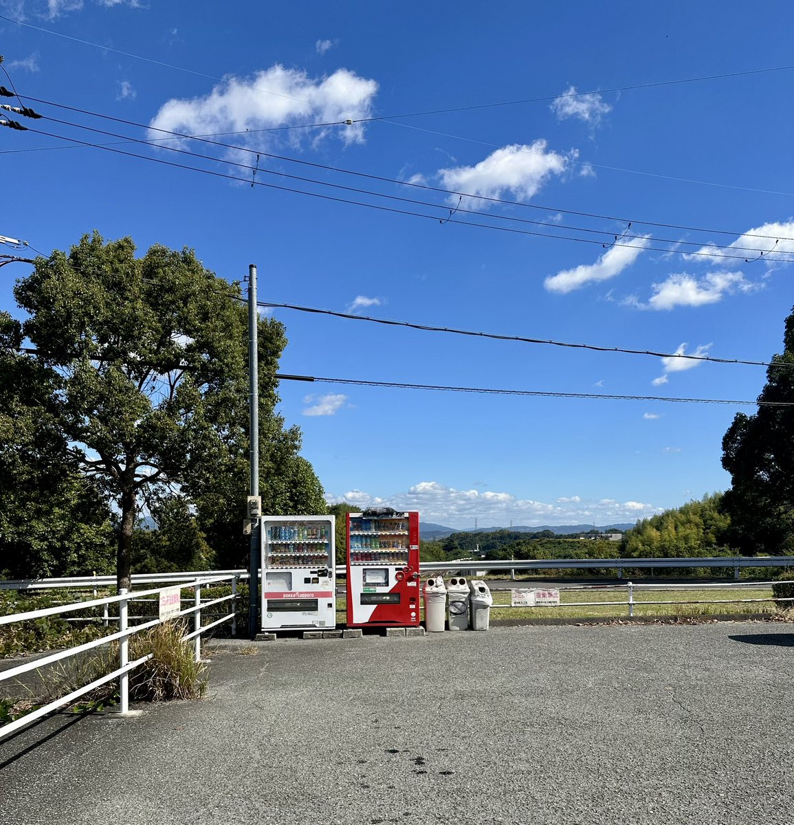 ta_a815's tweet photo. 旅のハイライトは間違いなくここでした
中学校の図書室でペンギン・ハイウェイを読み耽っていた私に見せてあげたい… https://t.co/llfNCrF7Dj