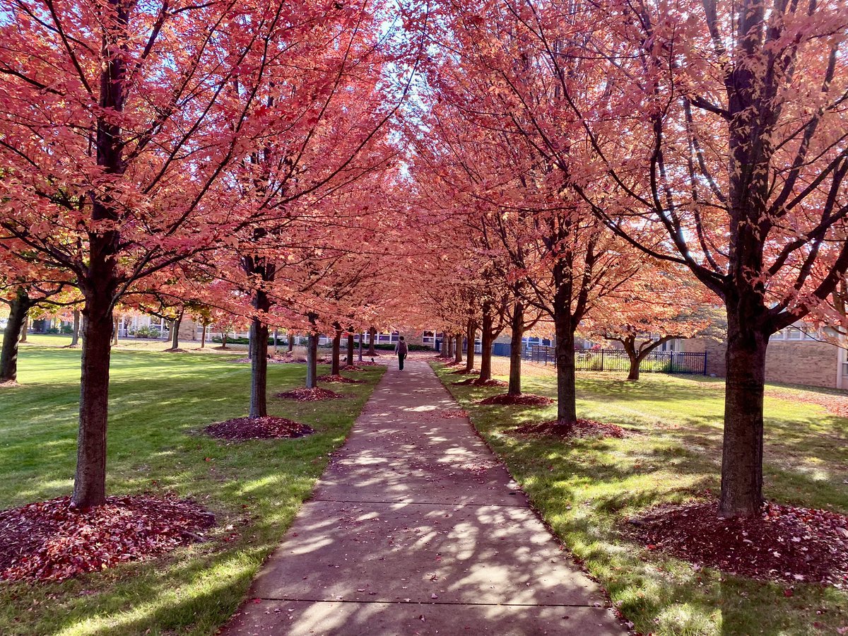 TheWayTeacher's tweet photo. @Jpullen19 Our campus today…. https://t.co/E2TQqwGll1