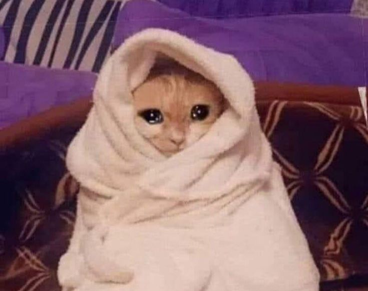 Rankiesssssssssssss 
twitch.tv/imeixo