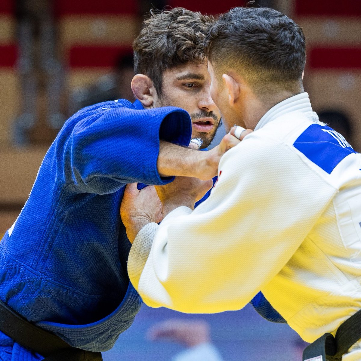 Anthony DIAO tweet media