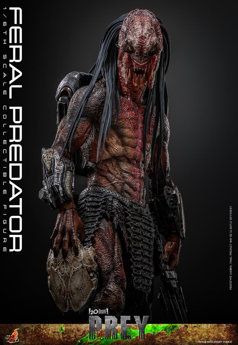 【Prey - 1/6th scale Feral Predator Collectible Figure】 
#FeralPredator #Predator #Prey #HotToys  #ホットトイズ