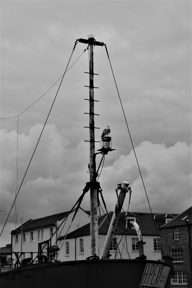 Ian Overton tweet media