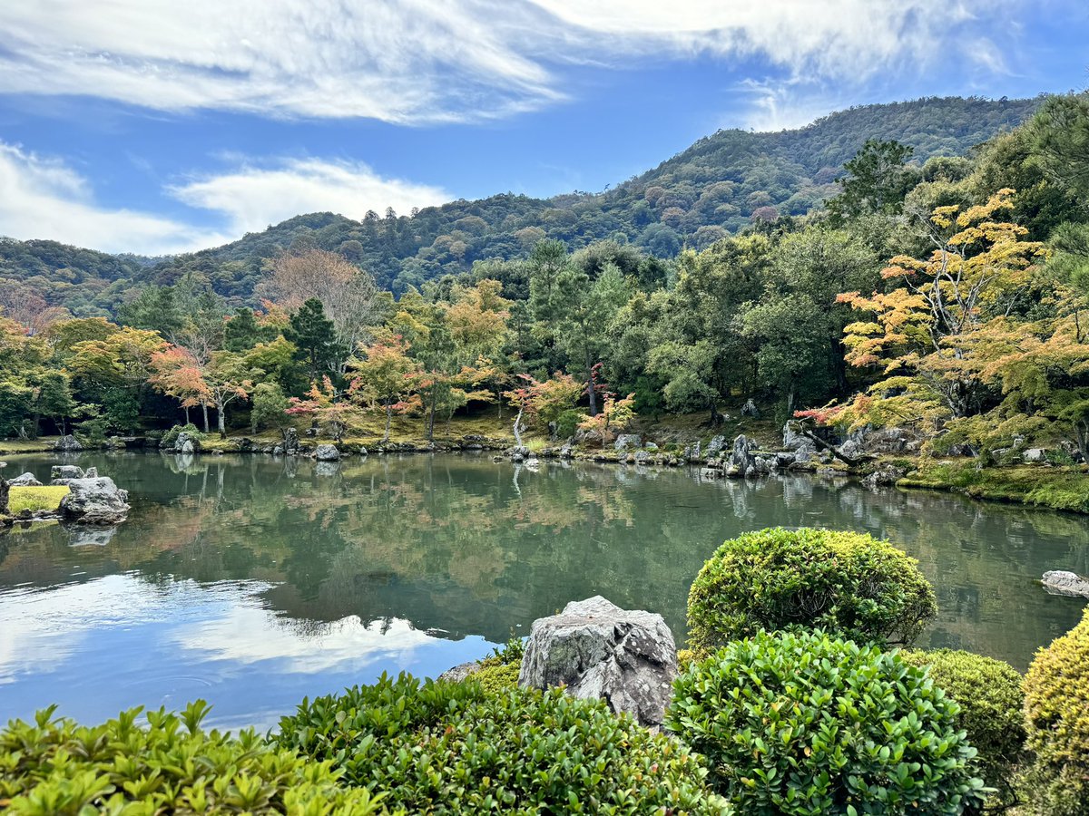 jackpeng_'s tweet photo. Nature is good for the body and soul 😮‍💨 https://t.co/6iHJZP2wvD