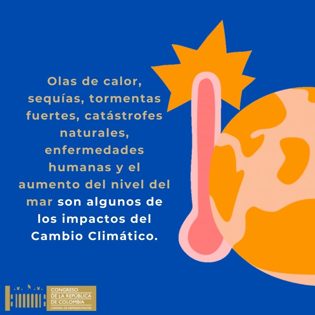 OProtocolo's tweet image. 