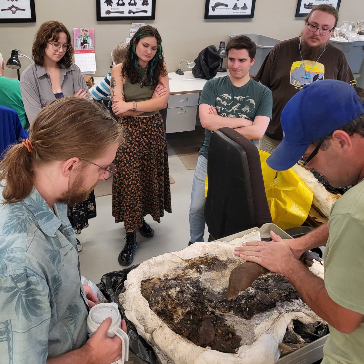 When an important new find comes inside, the crew makes a plan for how it will be treated in the preparation lab and later stored in collections.

In this photo, staff and students are assessing the field jacket containing the recently-excavated skull of our new rhino, Puddin'.
