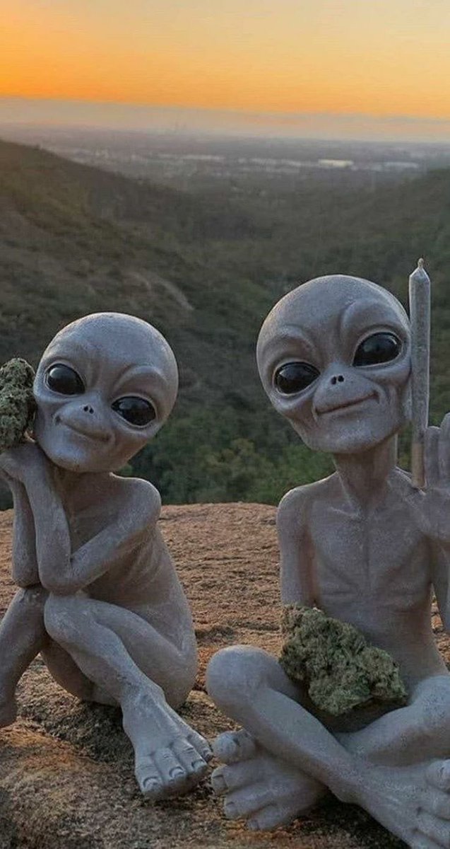 Viewers are surprised by the amusing images captured of aliens