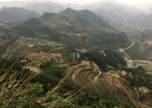 Zhou_jinfeng's tweet photo. @CBCGDF_China will host the "Beijing·Jingmai Pledge" cultural event in Beijing on October 28, 2023, to celebrate  the successful inscription of the #OldTea Forests of Jingmai Mountain in Pu'er, #Yunnan, into the @UNESCO  World Heritage List. 
https://t.co/dOW8HHNB0L
#oldtea https://t.co/6zrkxIfhhg