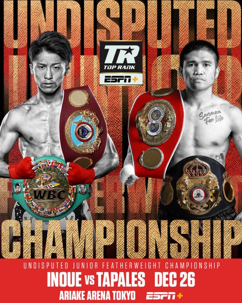 井上尚弥vsマーロン・タパレス戦 プレミアムチェア 【公式通販】