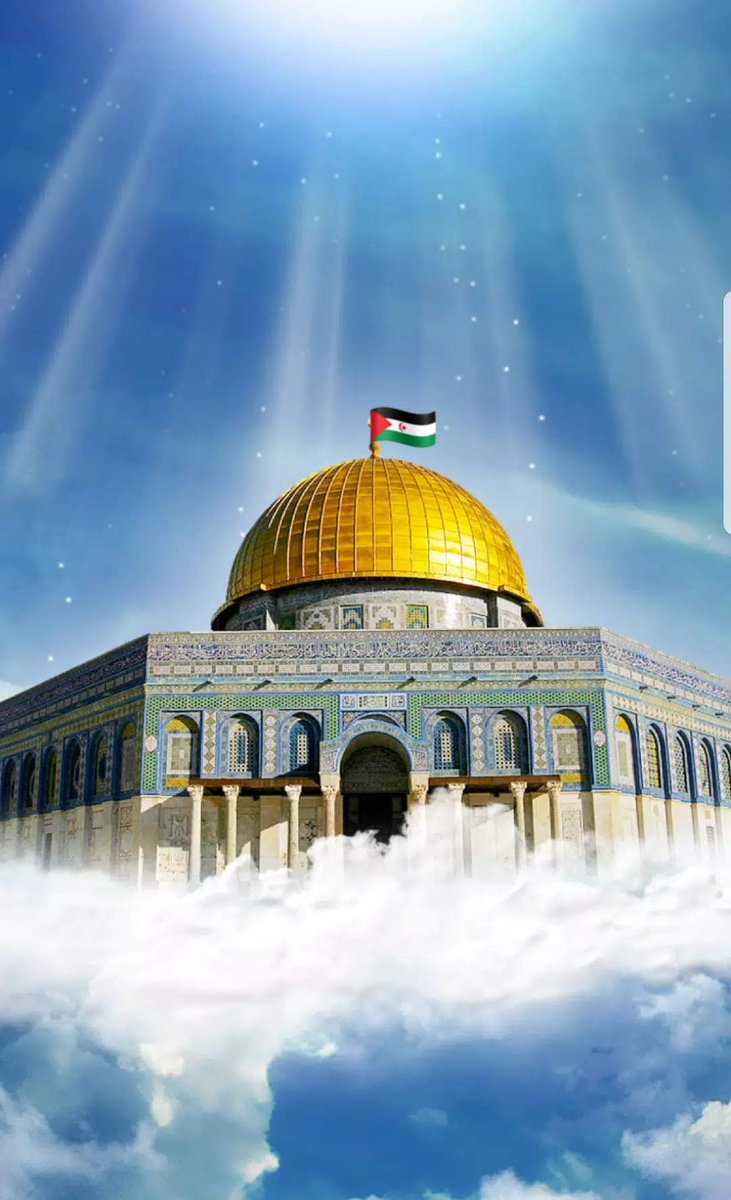 islamicfreedom's tweet image. How many Muslims are online to say Allahu Akbar ☝🏽