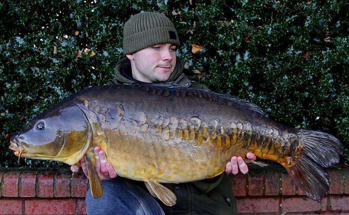 ccmoore_baits's tweet photo. Park lake prize for Alex
It’s amazing what you can find if you look hard enough. Alex Holl with a stunning mirror he caught with 6 other fish from an undisclosed park lake on our legendary Odyssey XXX..
.
.
.
#odysseyxxx #bigfishbait #GLM #mooremeansmore #ccmoore #bigedge https://t.co/kAidAQpdFr