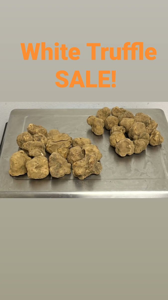 Sybaritic2011's tweet photo. White truffle prices slashed!
#truffles #trufflelife #trufflemerchant #sybaritic https://t.co/u9R5aZ9vS7