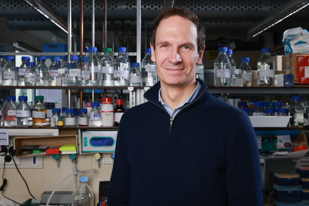 Summer Research Program EPFL tweet media