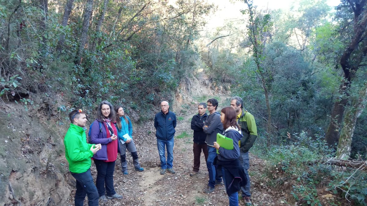 Avui som al bosc, amb l’equip de seguiment de projectes de <a href="/LIFEprogramme/">LIFE Programme</a> 
On millor que aquí per ensenyar-los els avenços que hem fet amb el Life Biorgest!
<a href="/cfcatalunya/">Consorci Forestal</a>
<a href="/ctforestal/">CTFC</a>
<a href="/CREAF_ecologia/">CREAF</a>
<a href="/XCNatura/">XCN</a>
#CNPF #CPF
<a href="/accioclimatica/">Assemblea d'acció climàtica</a>