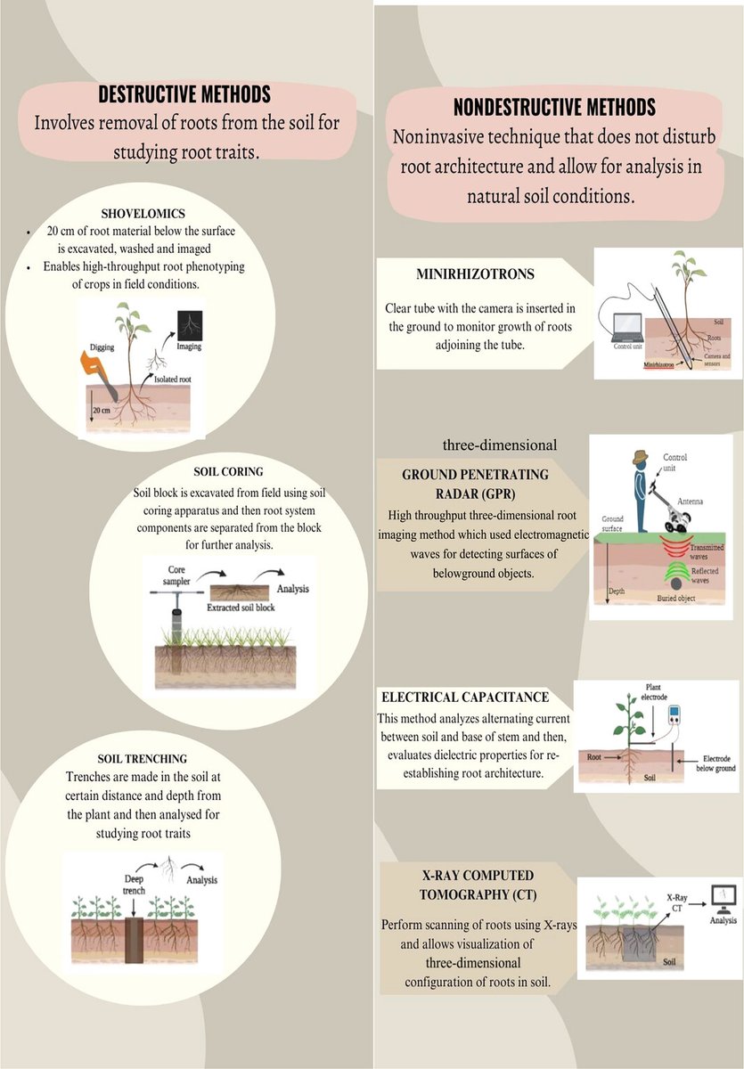 Abiotic stress in plants (Green Survivors) (@abioticstress) on Twitter photo Review by Kalra et al <a href="/IcfreIndia/">Indian Council of Forestry Research and Education</a> <a href="/icfreifb/">ICFRE-Institute of Forest Biodiversity</a> <a href="/plantgenome/">The Plant Genome 🌱🧬</a> <a href="/ASA_CSSA_SSSA/">Agronomy, Crop, and Soil Science Societies</a> <a href="/wileyplantsci/">Wiley Plant Science</a>
Understanding role of #roots in plant response to #drought: Way forward to #climate-resilient crops
acsess.onlinelibrary.wiley.com/doi/full/10.10…
#PlantSci <a href="/UNCCD/">UN Land and Drought</a> <a href="/CANIntl/">Climate Action Network International (CAN)</a> <a href="/CropGlobal/">Global Sustainable Agriculture & Environment</a> <a href="/Agriculfuture/">Agriculture Insider</a> <a href="/Alex_Verbeek/">Alexander Verbeek 🌍</a> Review by Kalra et al <a href="/IcfreIndia/">Indian Council of Forestry Research and Education</a> <a href="/icfreifb/">ICFRE-Institute of Forest Biodiversity</a> <a href="/plantgenome/">The Plant Genome 🌱🧬</a> <a href="/ASA_CSSA_SSSA/">Agronomy, Crop, and Soil Science Societies</a> <a href="/wileyplantsci/">Wiley Plant Science</a>
Understanding role of #roots in plant response to #drought: Way forward to #climate-resilient crops
acsess.onlinelibrary.wiley.com/doi/full/10.10…
#PlantSci <a href="/UNCCD/">UN Land and Drought</a> <a href="/CANIntl/">Climate Action Network International (CAN)</a> <a href="/CropGlobal/">Global Sustainable Agriculture & Environment</a> <a href="/Agriculfuture/">Agriculture Insider</a> <a href="/Alex_Verbeek/">Alexander Verbeek 🌍</a>