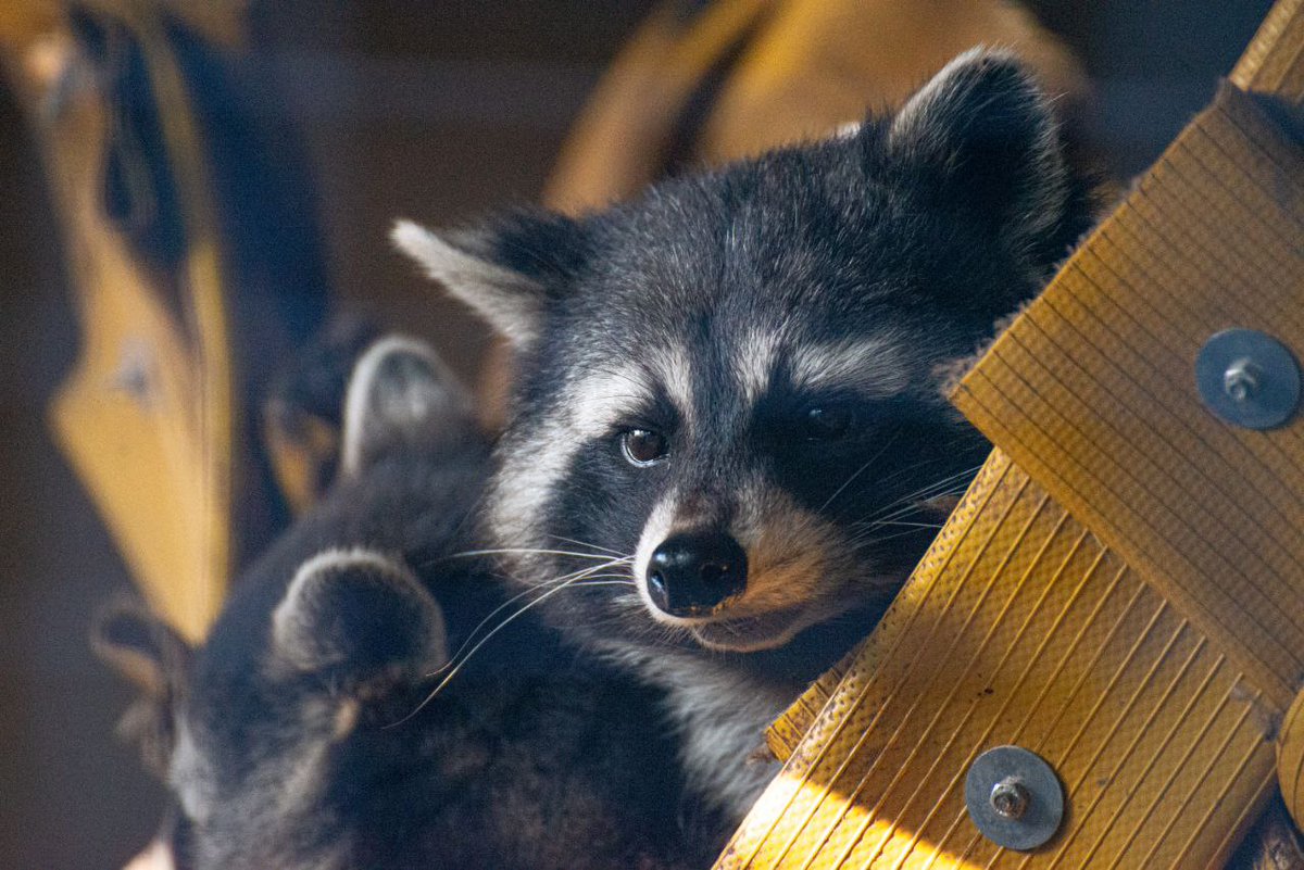 Livinteresting tweet media