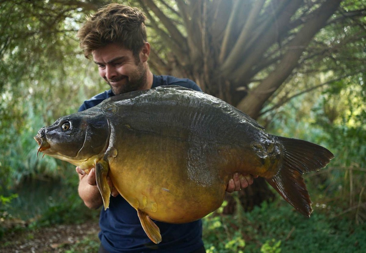 ccmoore_baits's tweet photo. Deep bodied mirror for Jimmy
Fish never tire of eating Odyssey XXX, and with a 10% GLM content, we’re not surprised.
James Armstrong with a big character mirror on XXX..
.
.
.
#odysseyxxx #bigfishbait #GLM #mooremeansmore #ccmoore #bigedge https://t.co/wp9AVLKRhJ