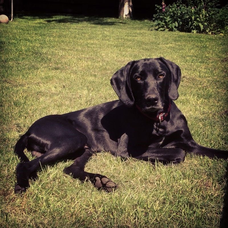 Ciska Bakema tweet media